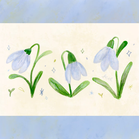 A bundle of snowdrops ⁕