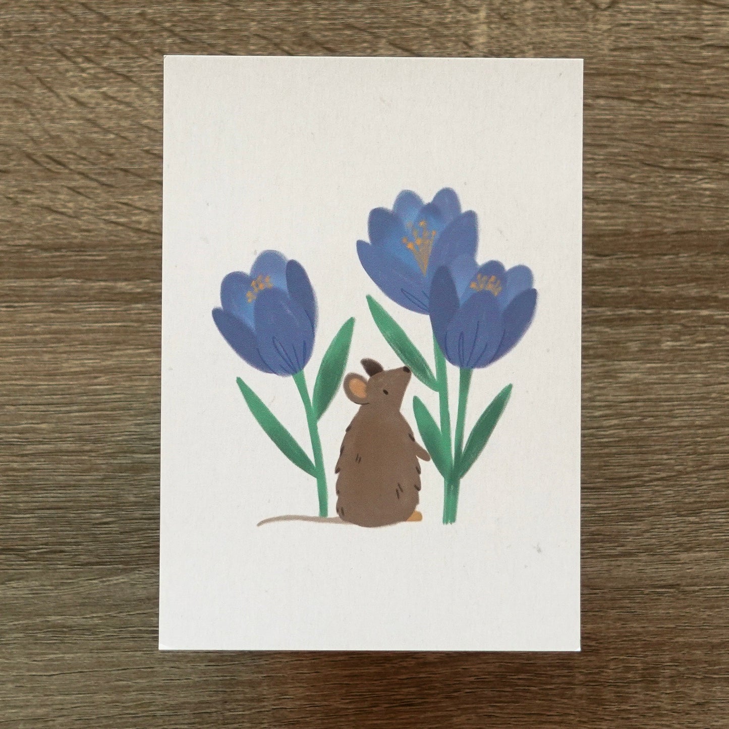 Mouse and Crocuses - Postcard / Mini Art Print