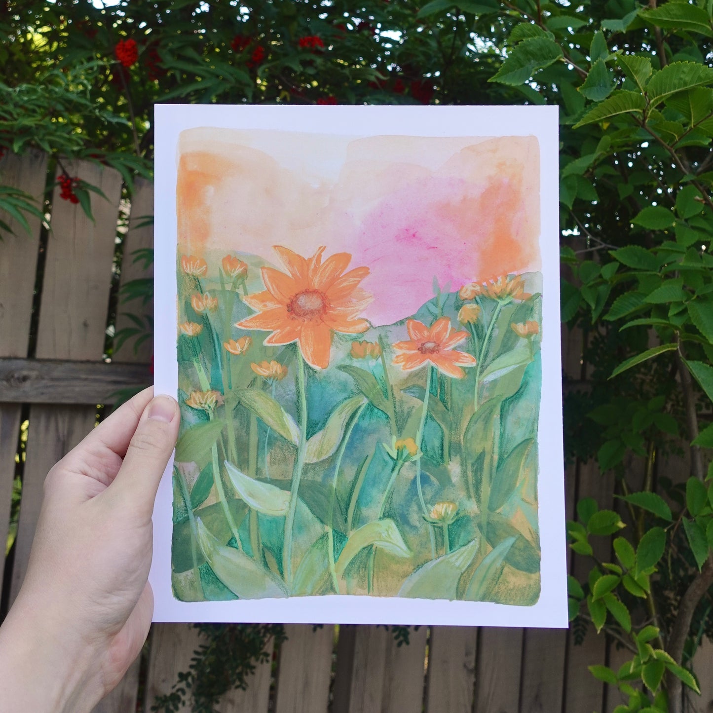 Goldilocks Rudbeckia - LIMITED Botanical Wall Art Print