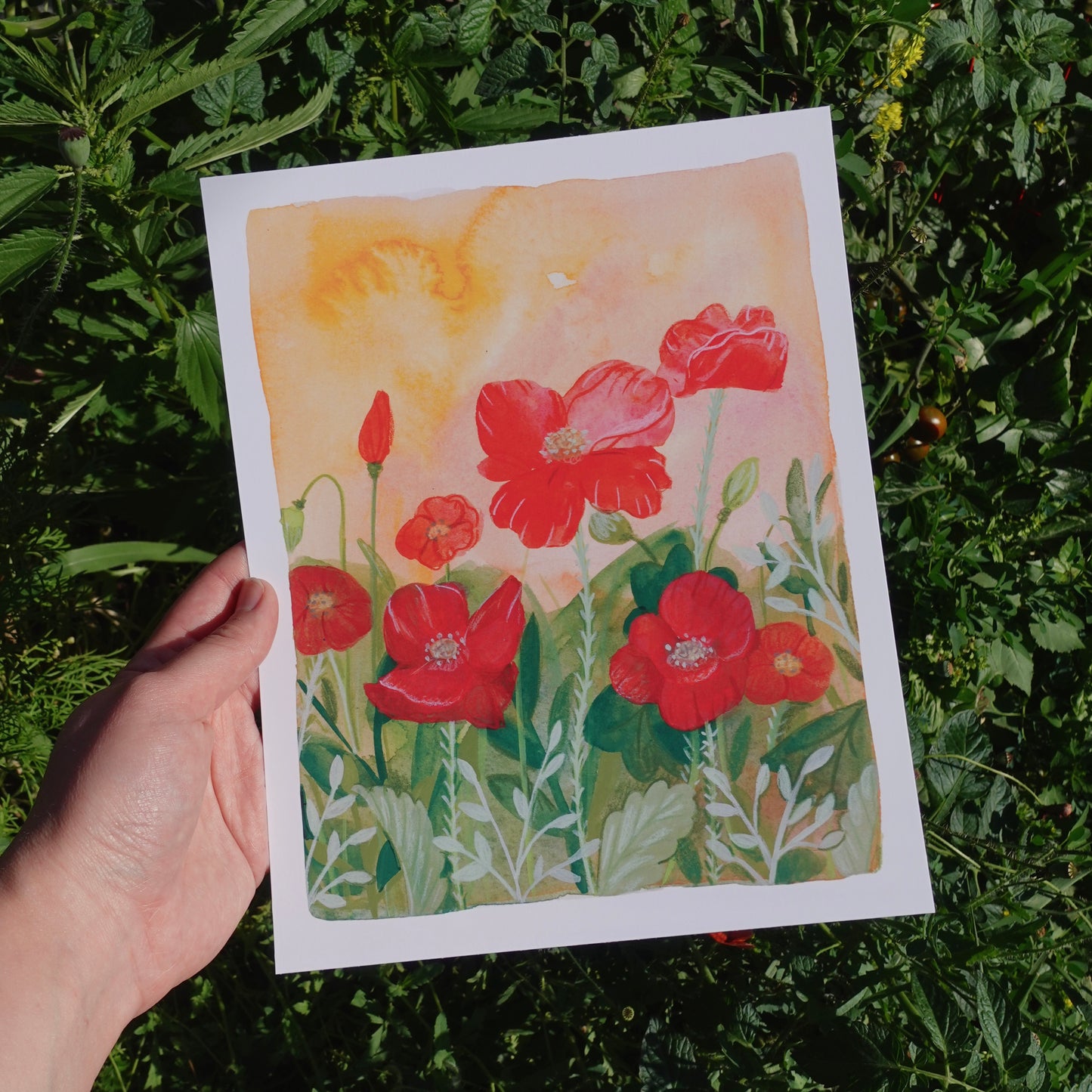 Sunset Poppies - Botanical Wall Art Print