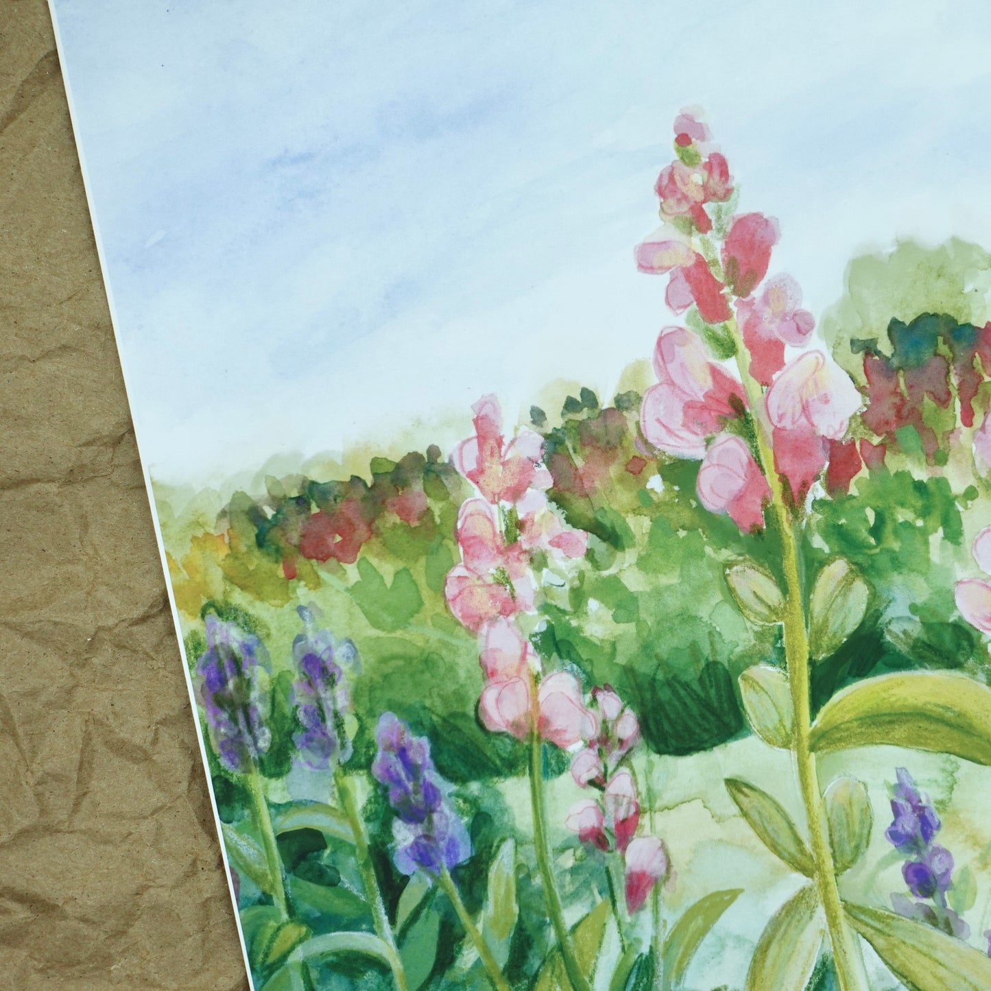 Snapdragons - Botanical Wall Art Print