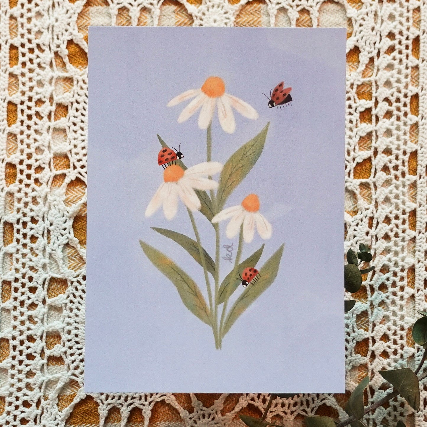 Daisies & Ladybugs - Postcard