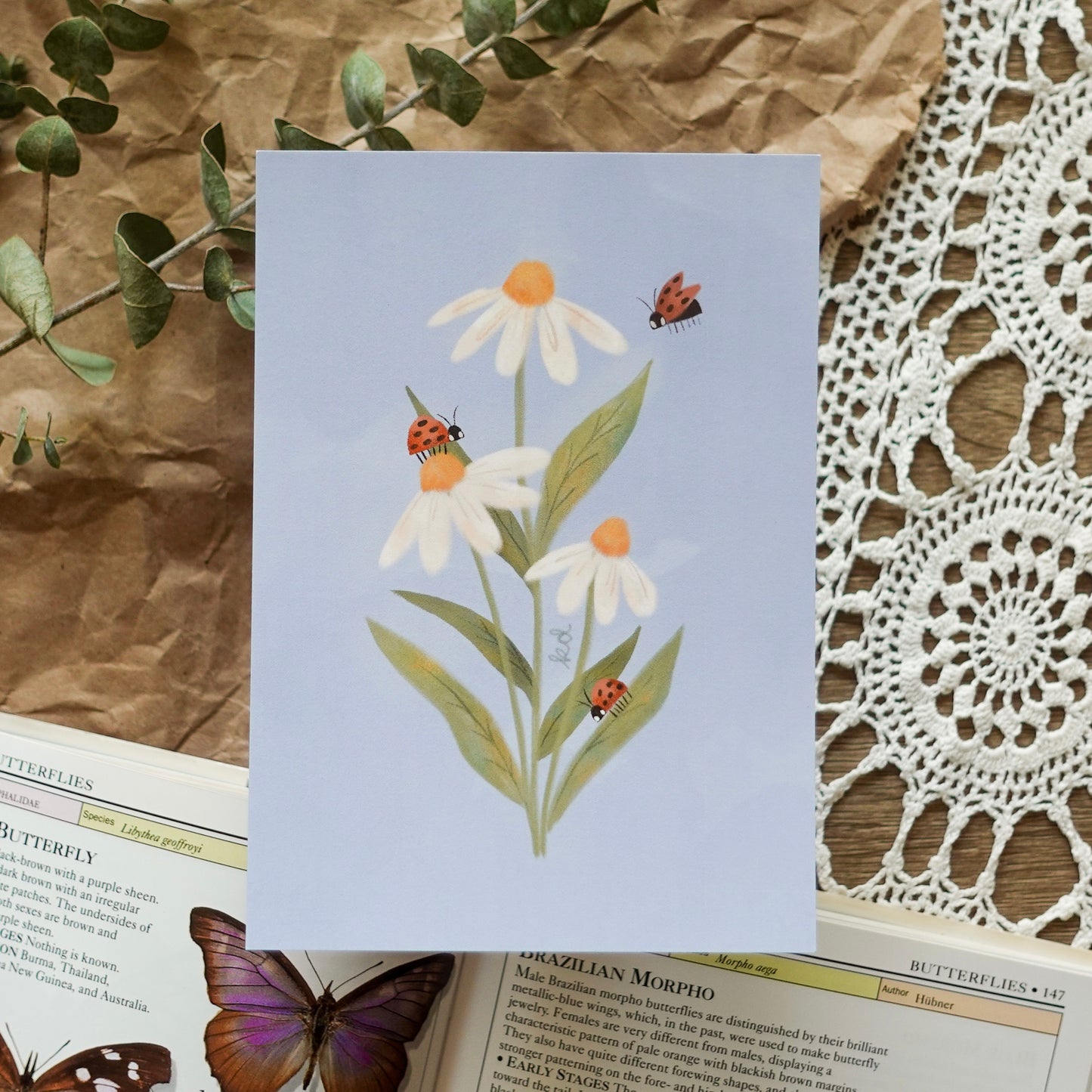 Daisies & Ladybugs - Postcard / Mini Art Print