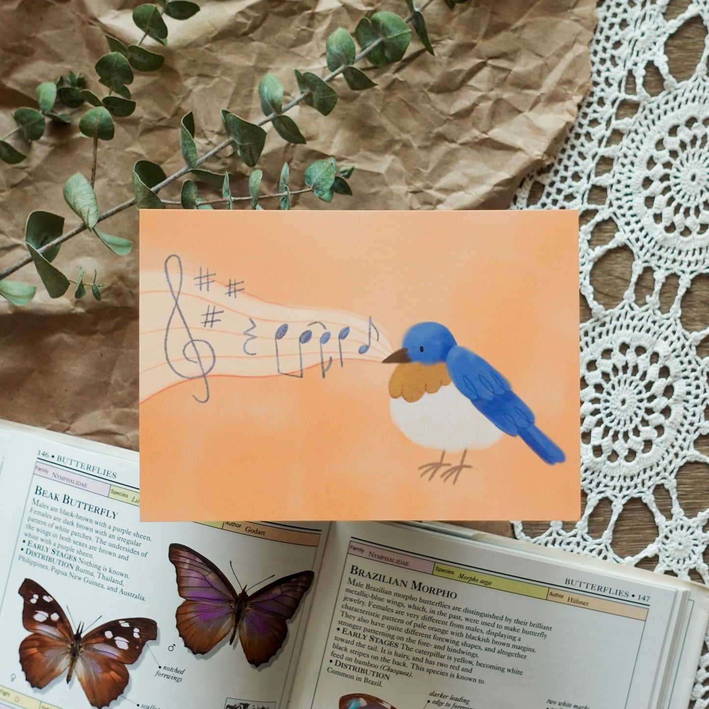 Here Comes the Sun - Bluebird Postcard / Mini Art Print