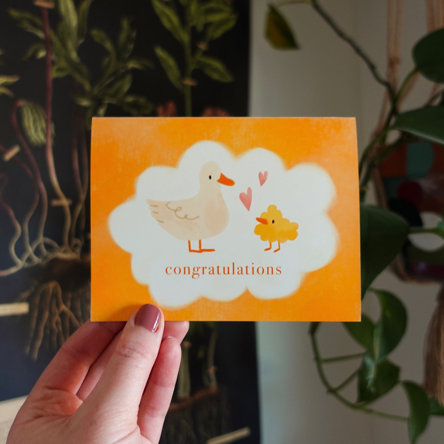 Congratulations - New baby card / Birth celebration card