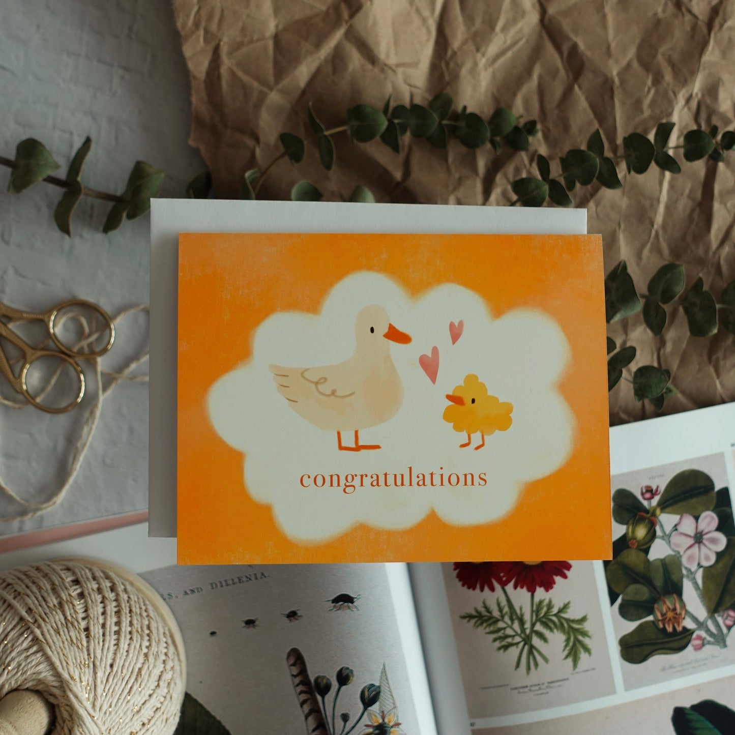 Congratulations - New baby card / Birth celebration card