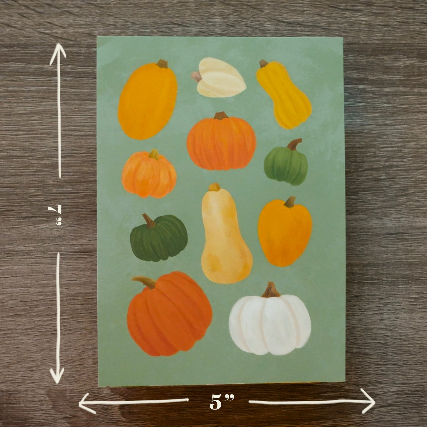 Pumpkins & Squash - Art Print