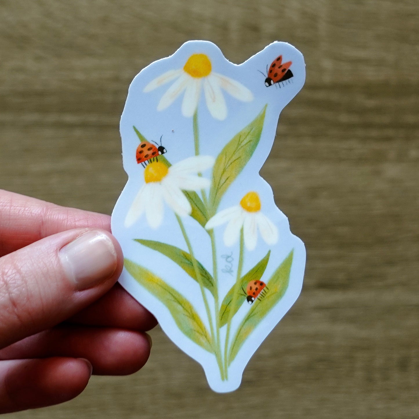 Daisies & Ladybugs - Floral Die Cut Vinyl Sticker