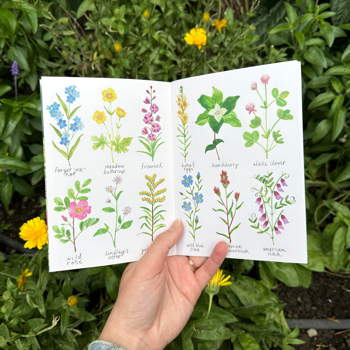 Love Letters to Summer - Illustrated Art Zine (PHYSICAL COPY)