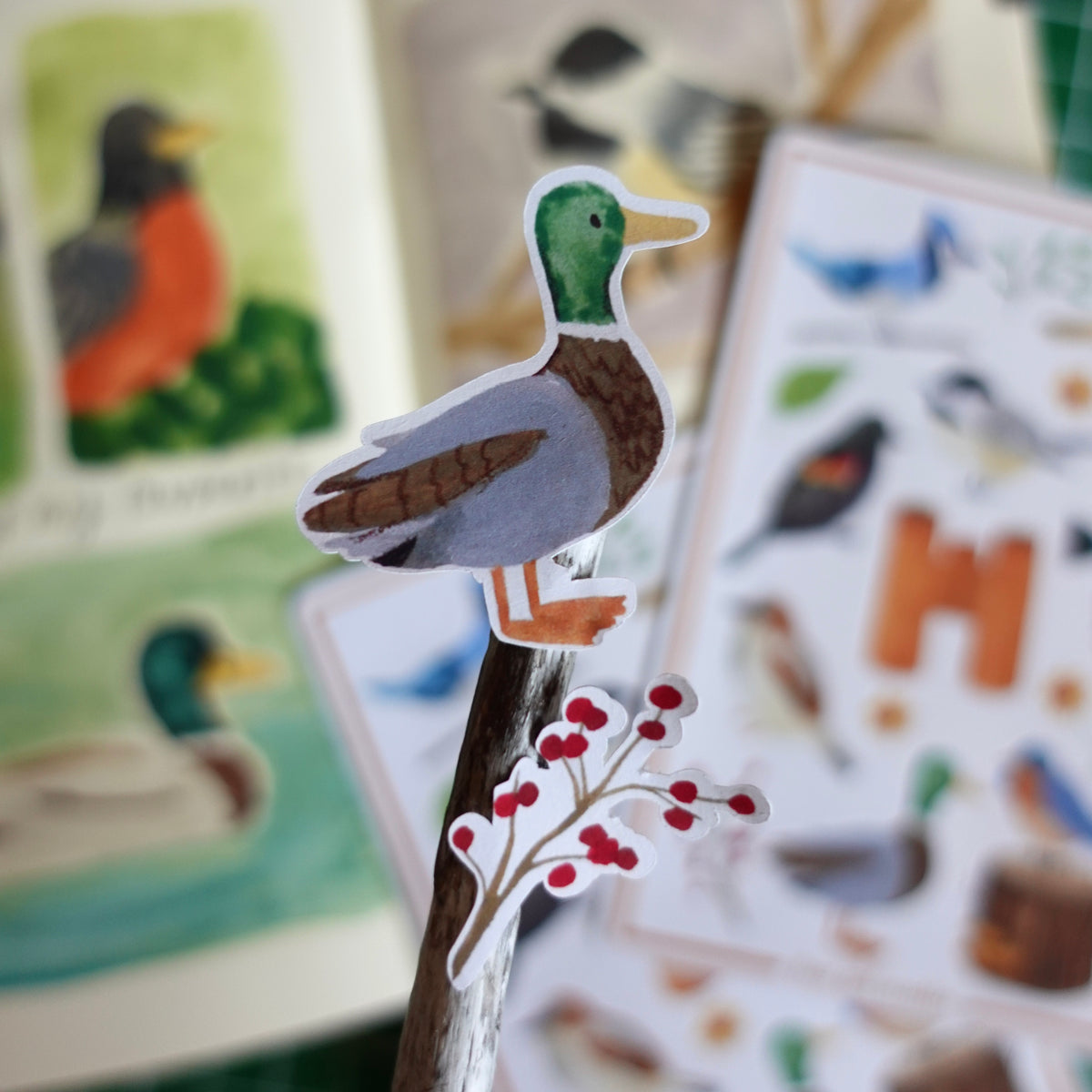 The Birdwatcher - Bird Sticker Sheet