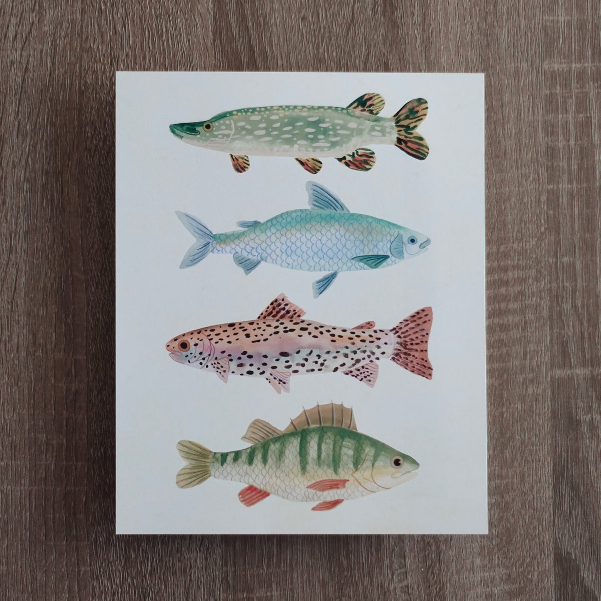 Something's Fishy - Wall Art Print