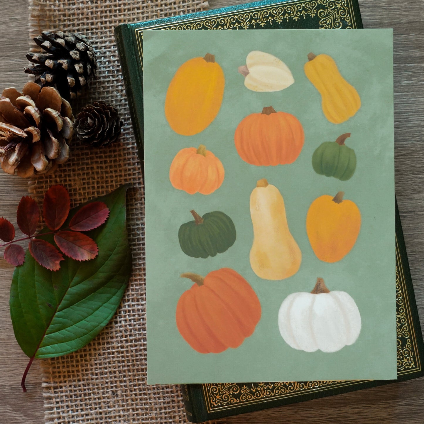 Pumpkins & Squash - Art Print