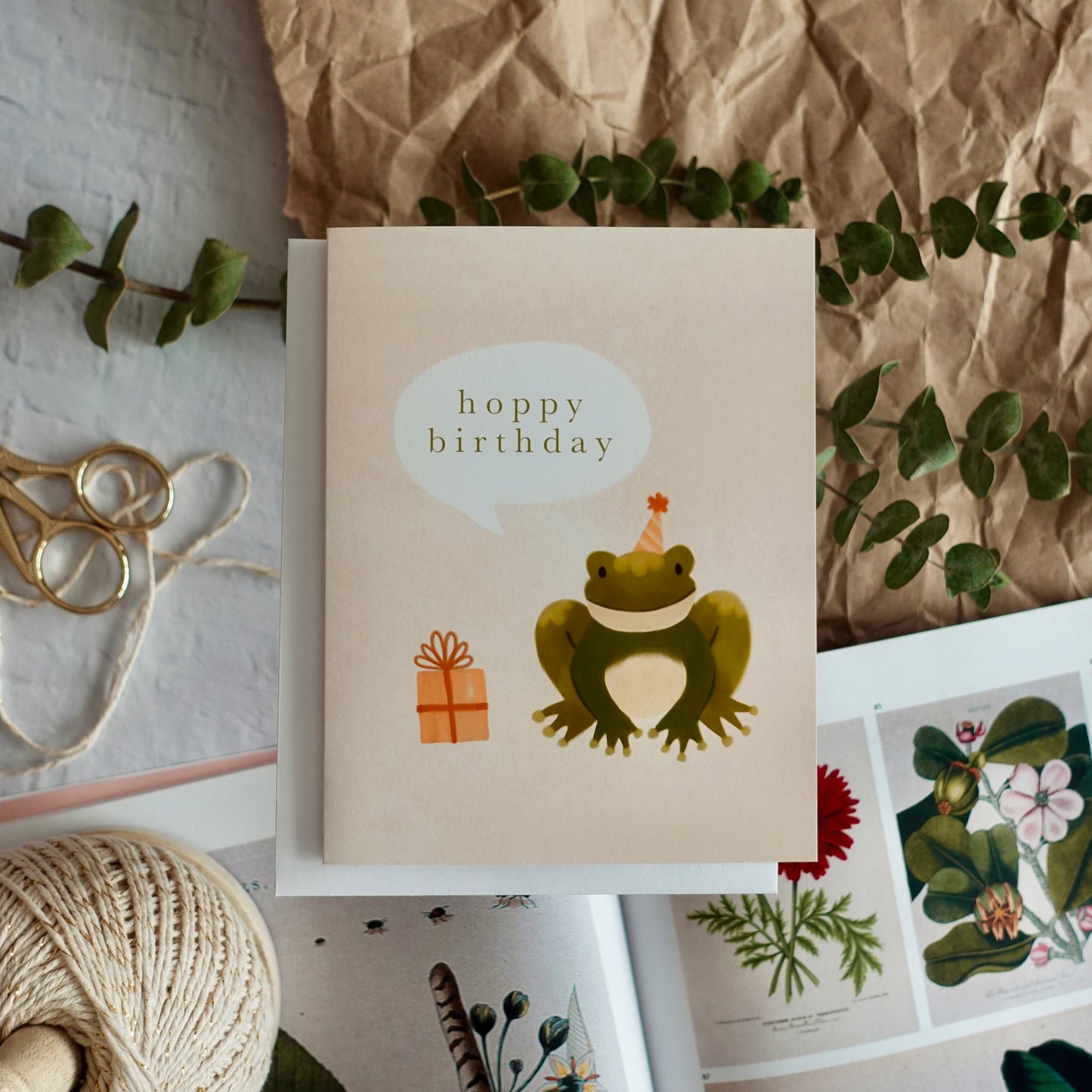 Hoppy Birthday - Frog Birthday Card